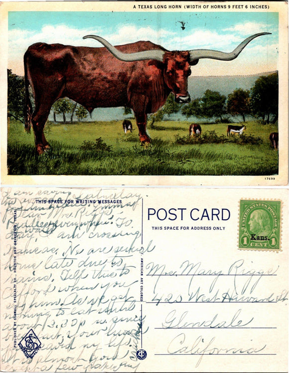 Postcard VINTAGE Texas Long Horn to Glendale CA $$ 383953 ISH