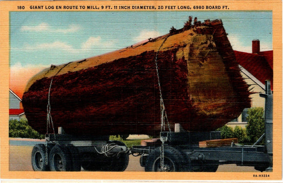 Postcard Giant Log in the Northwest unaddressed $$ 383961 ISH