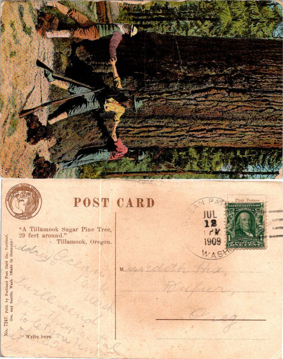 Postcard 1909 Logging Scene to Dufur OR $$ 383965 ISH