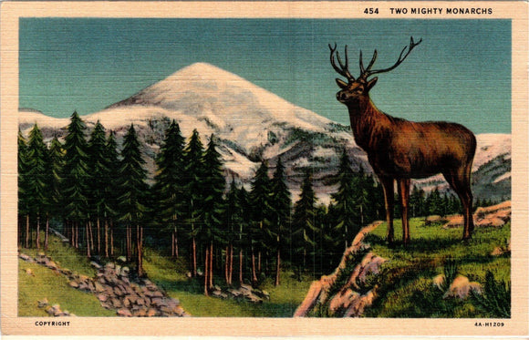 Postcard Washington State Monarchs unaddressed $$ 383999 ISH
