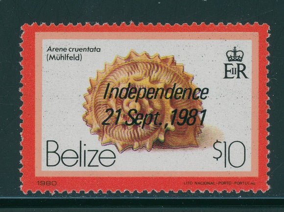 Belize Scott #587 MNH OVPT Independence on $10 Sea Shells CV$25+ 384683