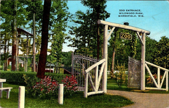 Postcard 1946 Wildwood Park Marshfield WI to Salmon ID $$ 395359