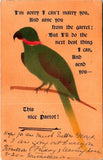 Postcard UB 1908 Scotland Humorous Poem about Parrot $$ 395363
