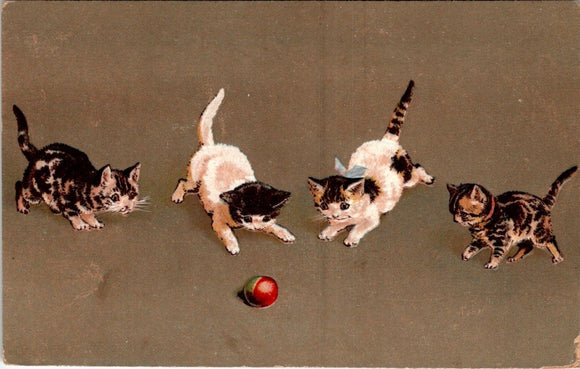 Postcard 1909 Kittens to Ruffsdale PA $$ 395379