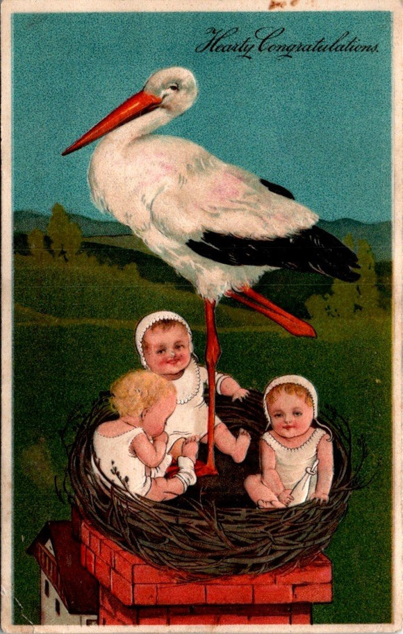 Postcard 1909 Baby Birth Congratulations to Ruffsdale PA $$ 395380