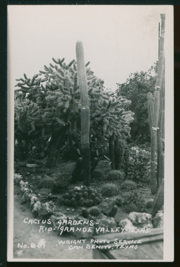 Postcard RP 1947 Cactus Gardens TX to Salmon ID $$ 395434