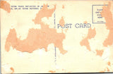 Postcard Teton Peaks WY unaddressed $$ 395450