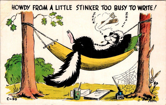 Postcard Humorous Skunk unaddressed $$ 395551