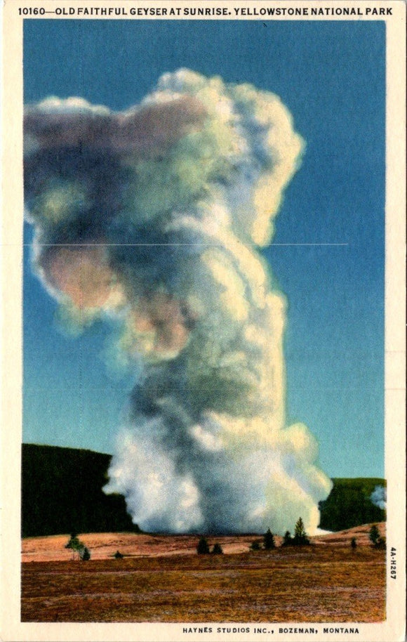 Postcard Old Faithful Geyser Yellowstone National Park unaddressed $$ 395593