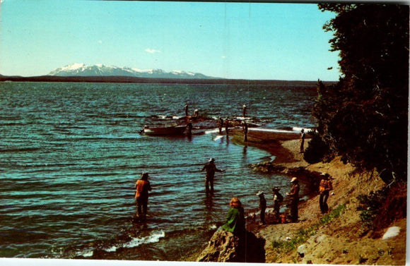 Postcard Fishing on Yellowstone Lake Yellowstone National Park UNAD. $$ 395596