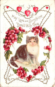 Postcard 1909 Love and Sunshine Cat Valentine to Ruffsdale PA $$ 395611