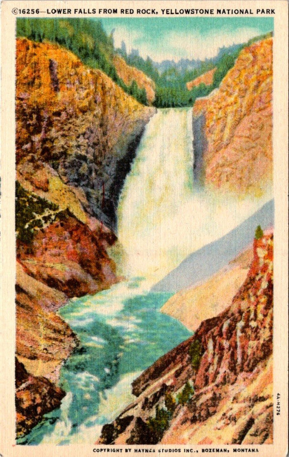 Postcard Lower Falls Yellowstone National Park unaddressed $$ 395635