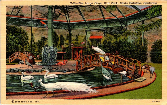 Postcard Large Cage, Bird Park, Santa Catalina Island CA unaddressed $$ 395656