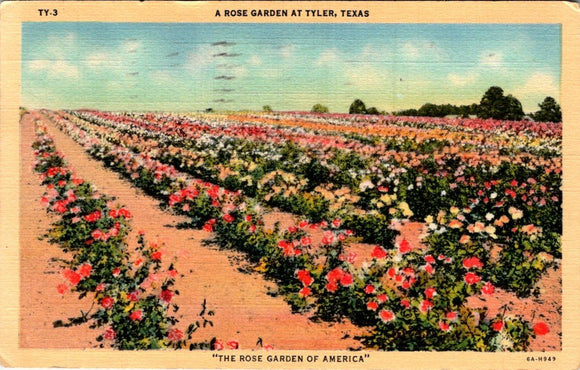Postcard 1940 Rose Garden Tyler TX to Salmon ID $$ 395698