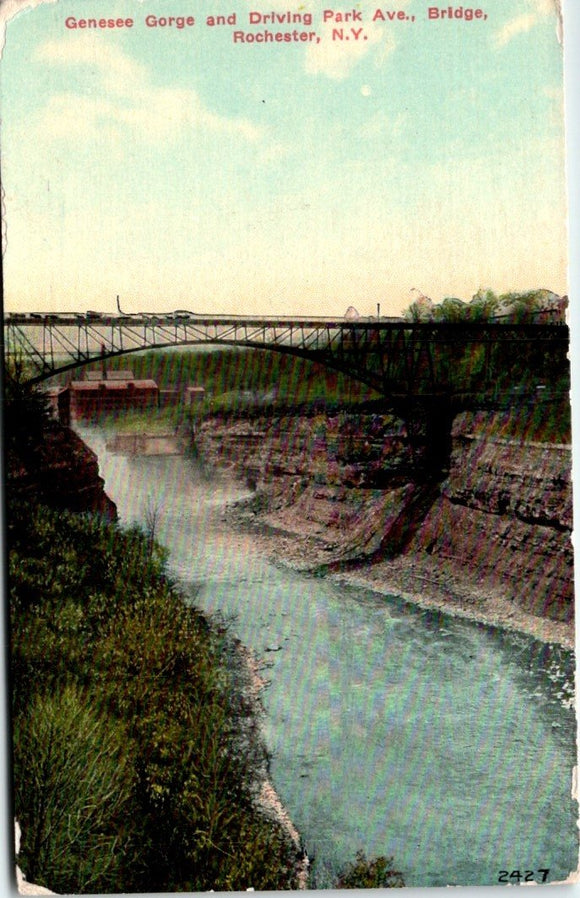 Postcard 1911 Genesee Gorge Rochester NY to Arden NV $$ 395736