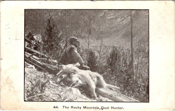 Postcard 1912 Rocky Mountain Goat Hunter to West Salamanca NY $$ 395745