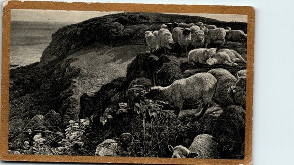 Postcard 1911 Grazing Sheep Oregon to Turtle Lake WI $$ 395764