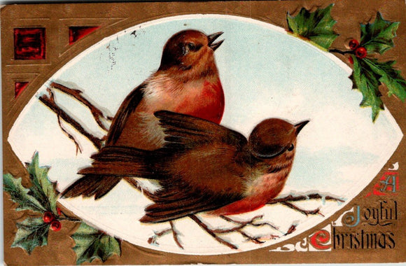 Postcard 1909 Christmas Birds to Turtle Lake WI $$ 395786