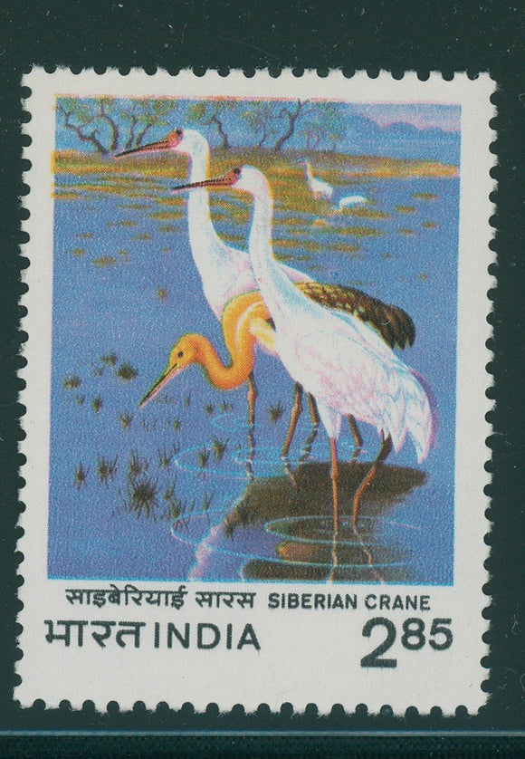 India Scott #1009 MNH Siberian Cranes Birds Fauna CV$3+ 406874