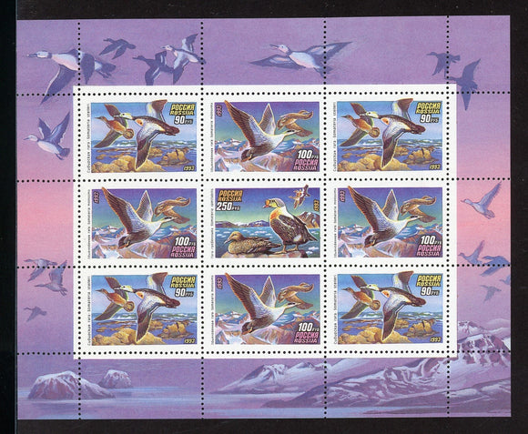 Russia Scott #6157a MNH S/S of 9 Ducks Birds CV$4+ 408719 ISH