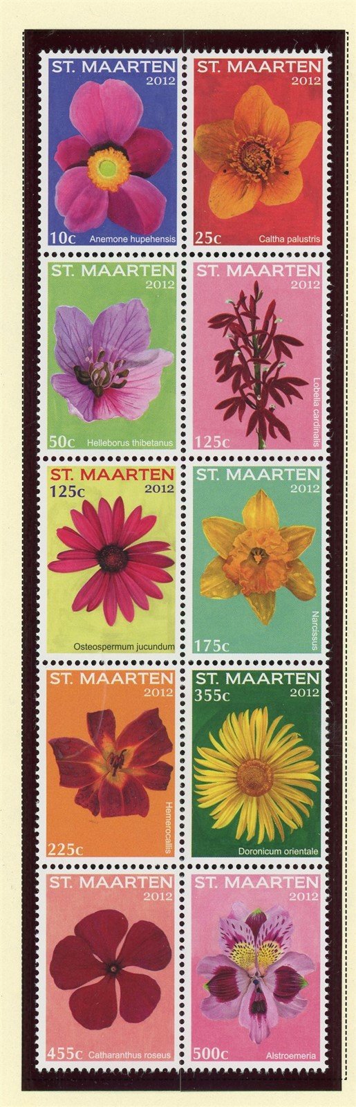 St. Martin Scott #23 MNH BLOCK of 10 Flowers FLORA CV$23+ 427628